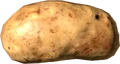 Patata