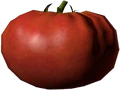 Tomate